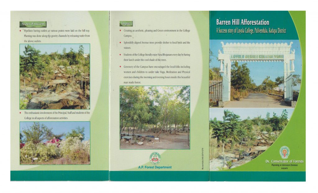 CGP Forest Dept brochure